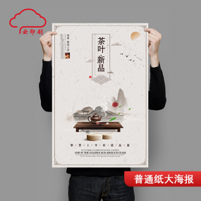 普通纸大海报 普通纸大海报